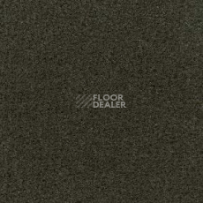 Ковролин Radici Admiral Fango 1302 фото 1 | FLOORDEALER